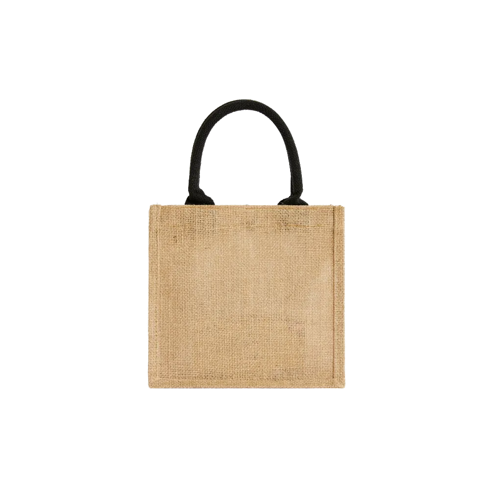 VERAFIED Straw Mini Tote Bag